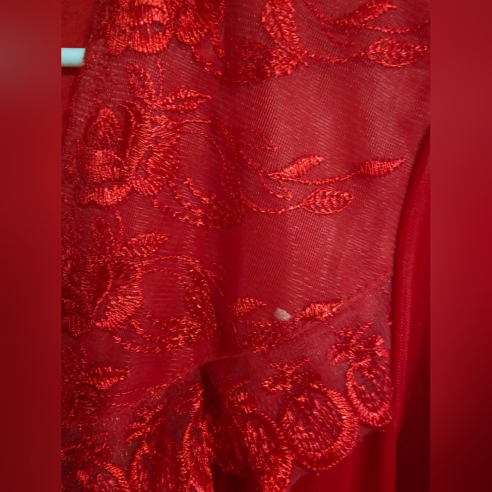 Wanlida Womens Red Sheer Lace Robe XXL Vintage Lingerie Romantic Boudoir 80s - Picture 5 of 8